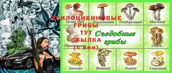 PSILOCYBIN Абдулино
