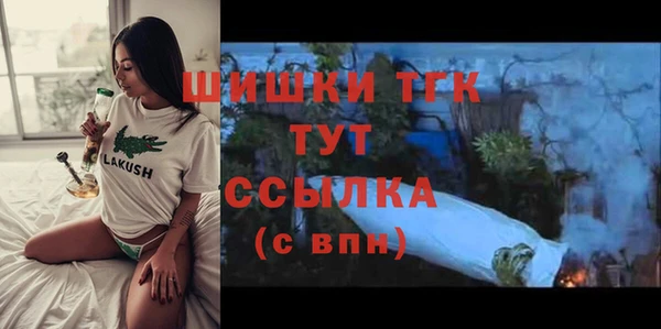 крисы Абаза