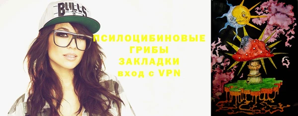 PSILOCYBIN Абдулино