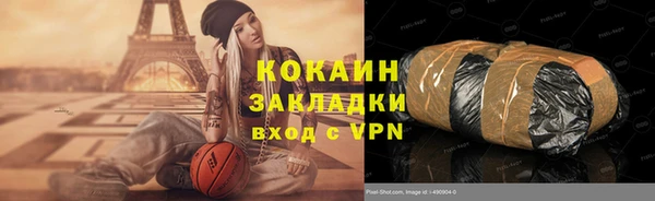 крисы Абаза