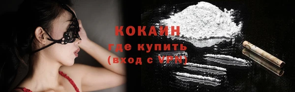 крисы Абаза