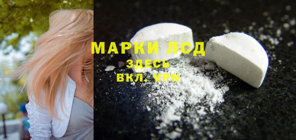 крисы Абаза