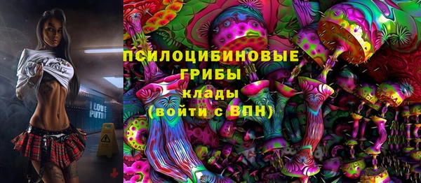 PSILOCYBIN Абдулино