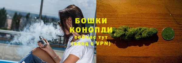 PSILOCYBIN Абдулино